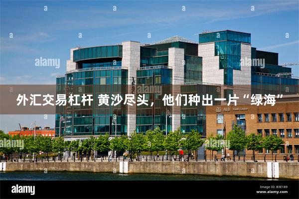 外汇交易杠杆 黄沙尽头，他们种出一片“绿海”